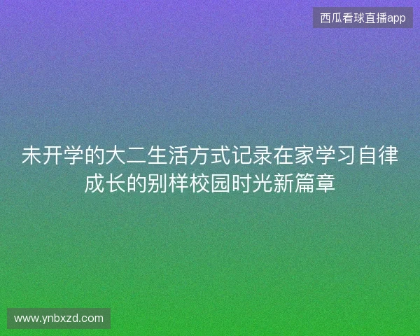 未开学的大二生活方式记录在家学习自律成长的别样校园时光新篇章